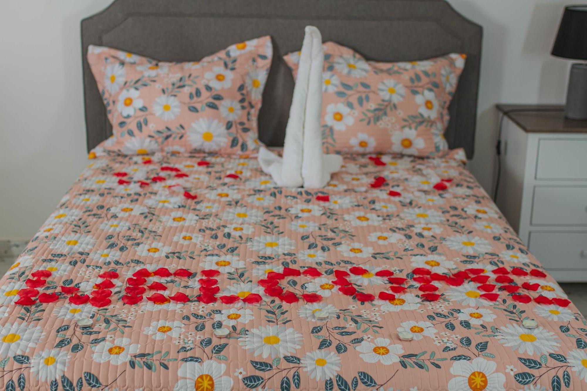 Cidade Paradise Guesthouse Cidade Velha 외부 사진
